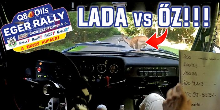 Lada őz gázolása!