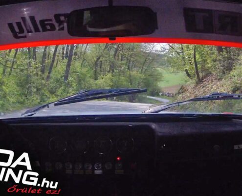 lad aszőlősardó rallysprint
